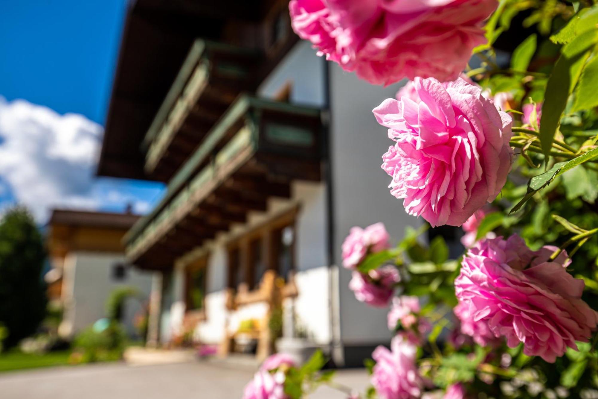 אלטנמרקט אים פונגאו Holiday Im Gaestehaus Warter In Altenmarkt מראה חיצוני תמונה