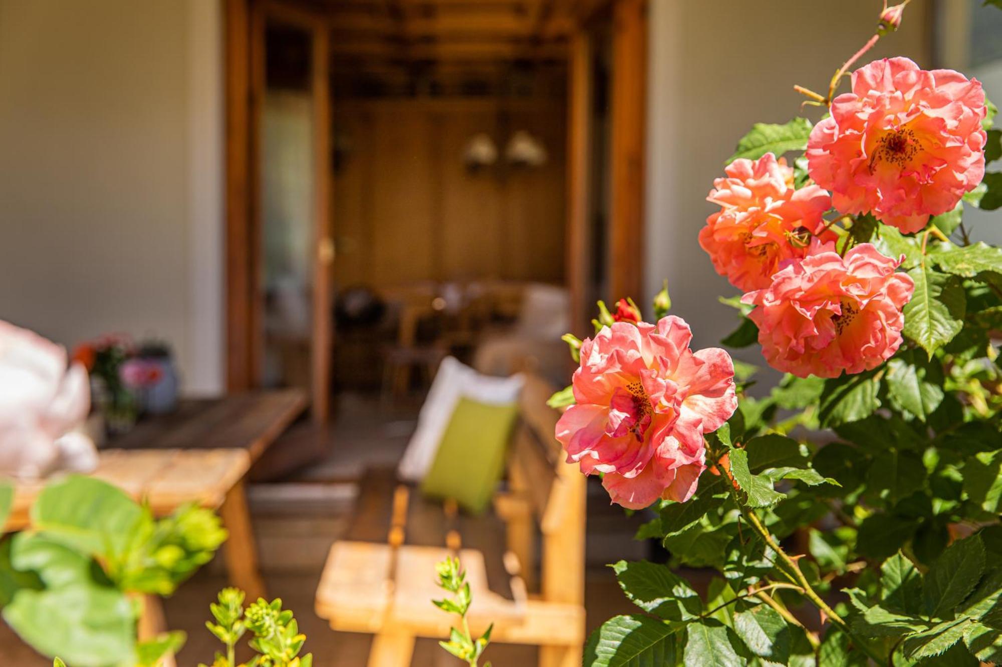 אלטנמרקט אים פונגאו Holiday Im Gaestehaus Warter In Altenmarkt מראה חיצוני תמונה